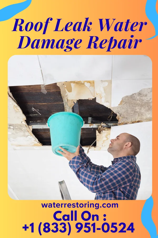Roof Leak Water Damage Repair in Manvel, TX